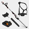 Telescopic Cordless Pole Trimmer