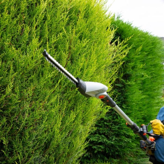 Telescopic Cordless Pole Trimmer - Image 8